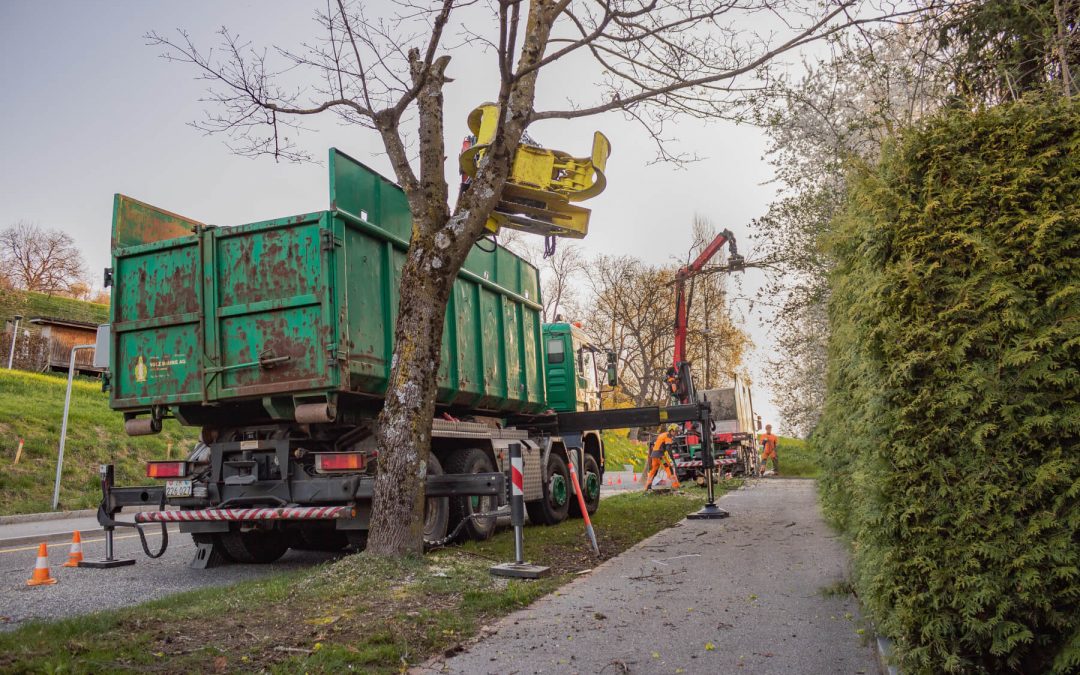 Strassenbäume fällen